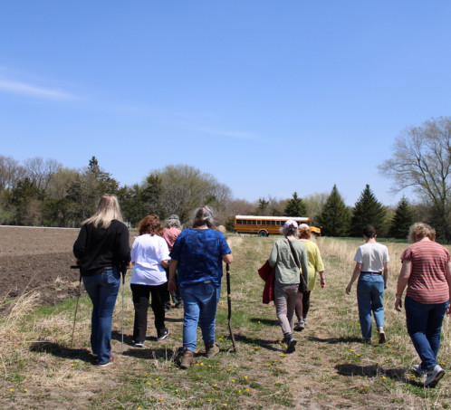 A group of people walking through a corn field with their backs to the camera