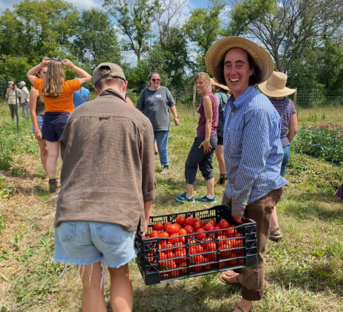 Two people carry a crate of tomatoes together at a farm- one is looking at the camera and smiling, and the other has their back to the camera